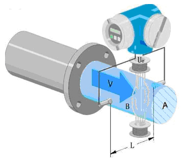 1636679850144316.jpg d5.jpg