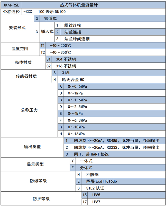 DN65熱式氣體質量流量計選項表