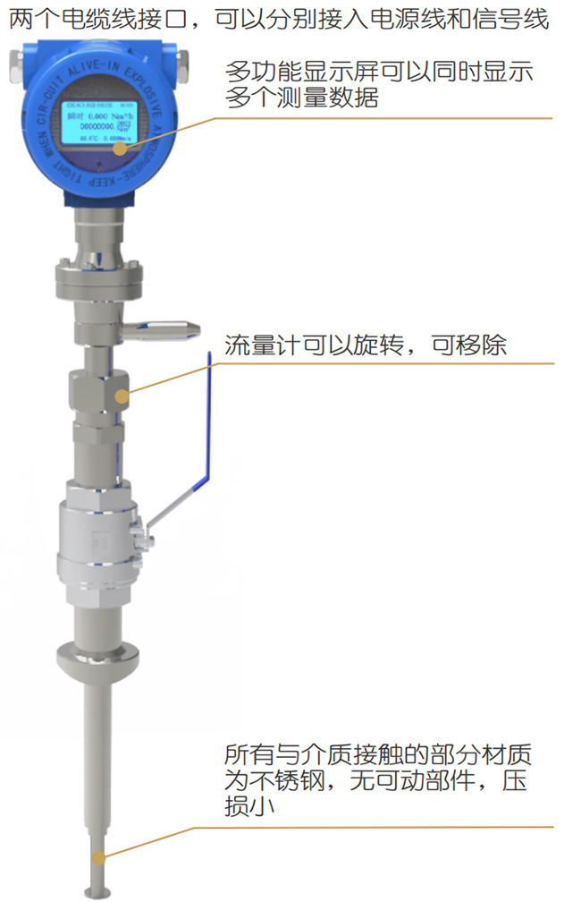 DN40熱式氣體質(zhì)量流量計結構圖